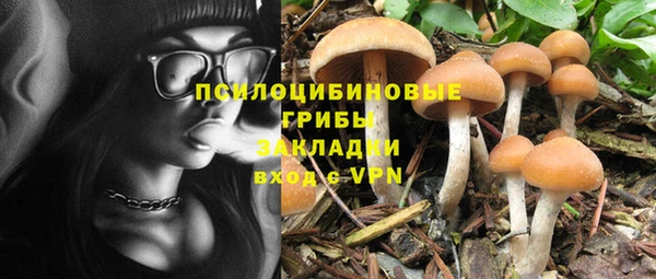 спиды Зеленодольск